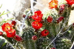 photo thumbnail #14