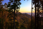 photo thumbnail #11