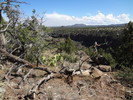 photo thumbnail #5