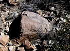 photo thumbnail #3