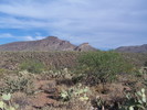 photo thumbnail #2