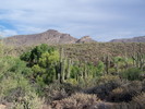 photo thumbnail #3