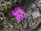photo thumbnail #11