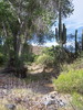 photo thumbnail #12