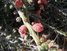 photo thumbnail #15