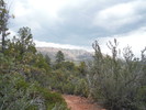 photo thumbnail #5