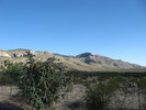 photo thumbnail #1