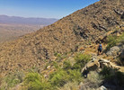 photo thumbnail #12