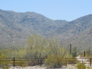 photo thumbnail #15