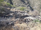 photo thumbnail #5