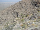 photo thumbnail #14