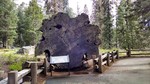 photo thumbnail #9