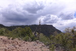 photo thumbnail #4