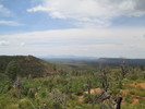 photo thumbnail #3