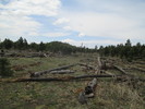 photo thumbnail #4