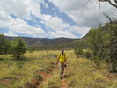 photo thumbnail #8