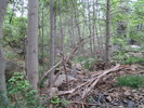 photo thumbnail #9