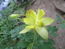 photo thumbnail #10