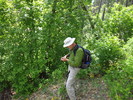 photo thumbnail #2