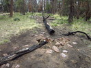 photo thumbnail #9