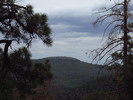 photo thumbnail #10