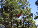photo thumbnail #9