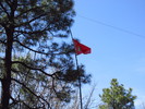 photo thumbnail #10