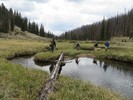 photo thumbnail #1