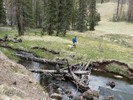 photo thumbnail #3
