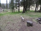 photo thumbnail #5