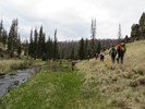 photo thumbnail #6