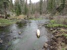 photo thumbnail #12