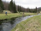 photo thumbnail #14