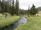 photo thumbnail #15