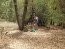 photo thumbnail #4