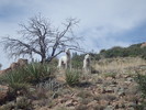 photo thumbnail #10