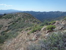 photo thumbnail #11