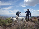 photo thumbnail #14