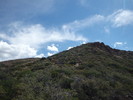 photo thumbnail #15