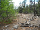 photo thumbnail #6