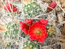 photo thumbnail #8