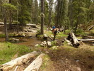 photo thumbnail #5