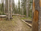photo thumbnail #6