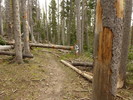 photo thumbnail #7