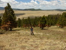 photo thumbnail #4