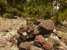 photo thumbnail #8