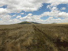 photo thumbnail #12