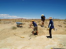 photo thumbnail #9