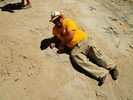 photo thumbnail #12