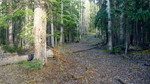 photo thumbnail #5